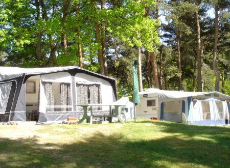 The campsite pitches The campsite pitches