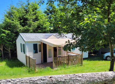 The rentals The rentals