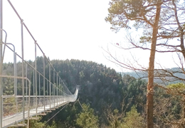The longest Himalayan footbridge in France